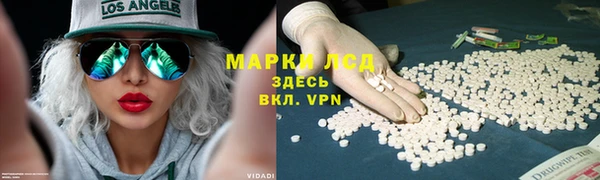 соль ск Алзамай