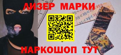 прущие грибы Кандалакша