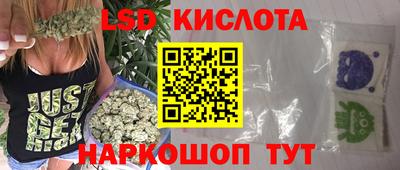 прущие грибы Кандалакша