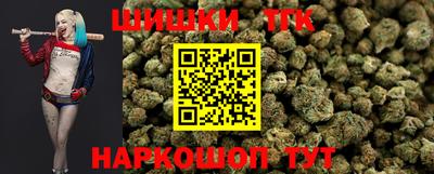 прущие грибы Кандалакша