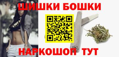 прущие грибы Кандалакша