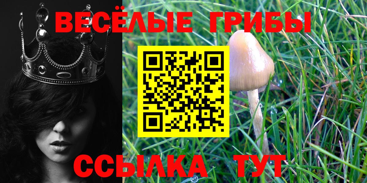сколько стоит  Вход с VPN  Лысьва  Галлюциногенные грибы Magic Shrooms 