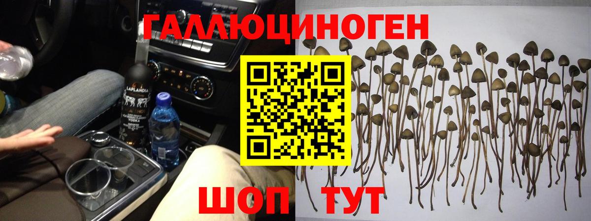 Псилоцибиновые грибы мухоморы Лысьва